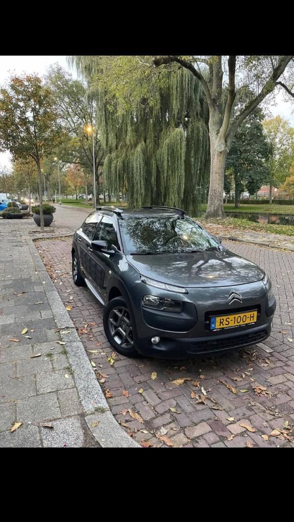 Citroën C4 Cactus Puretech 82pk 2015 Grijs, Auto's, Citroën, Particulier, C4 Cactus, Achteruitrijcamera, Adaptieve lichten, Airbags