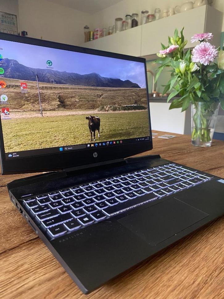 Snelle Gaming Laptop HP Pavilion | GTX 1650 – 16GB RAM – SSD, Computers en Software, Windows Laptops, Gebruikt, 15 inch, SSD, 4 Ghz of meer