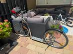 Cruiser sidewalker volwassen step, Fietsen en Brommers, Steps, Ophalen, Gebruikt, Gewone step, Cruiser