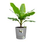 2x Elho Greensense Aqua Care | Rond | 30 cm | Licht beton, Tuin en Terras, Bloempotten, 25 tot 40 cm, Kunststof, Rond, Nieuw
