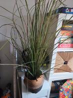 Kunstplant 1m in rieten mand - decoratief!, Huis en Inrichting, Kamerplanten, Ophalen, Halfschaduw, Minder dan 100 cm