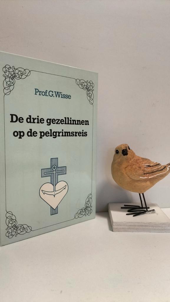 Wisse, Prof. G.; De drie gezellinnen op de pelgrimsreis, Boeken, Godsdienst en Theologie, Gelezen, Christendom | Protestants, Ophalen of Verzenden