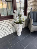 Hoge Schelpen pot, Ophalen, Zo goed als nieuw, Overige kleuren, Minder dan 50 cm