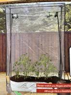 Kleine Kweekkas - Nieuw in doos!, Staal, Folie, Ophalen of Verzenden, Kweekkas