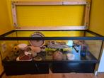 Hamsterkooi, Dieren en Toebehoren, Ophalen, Gebruikt