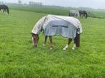 Bucas Buzz-off Rain full Neck maat 155, Dieren en Toebehoren, Paarden en Pony's | Dekens en Dekjes, Ophalen of Verzenden, Zo goed als nieuw