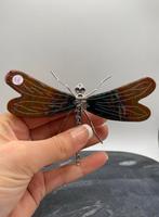 Jaspis libelle, Verzenden