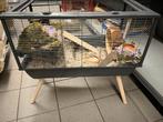 NIEUW & INGERICHT Hamsterverblijf (dwerghamster), Nieuw, 60 tot 90 cm, Hamster, 75 tot 110 cm