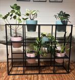 Zwart plantenrek inclusief potten en planten (2x), Tuin en Terras, Ophalen, Zo goed als nieuw, Rechthoekig, Metaal