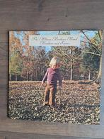 Allman Brothers Band - Brothers and Sisters Vinyl LP, Cd's en Dvd's, Ophalen of Verzenden, Gebruikt, 12 inch