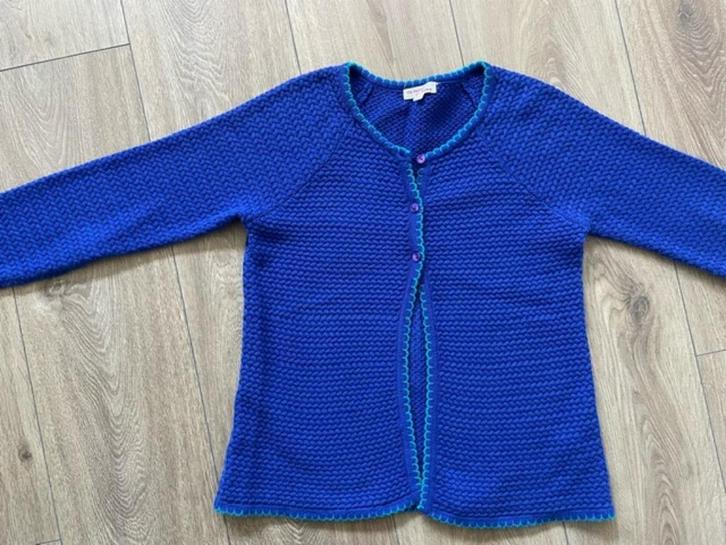 Blauwe vest vestje van DPAM maat 140 ZAN, Kinderen en Baby's, Kinderkleding | Maat 140, Zo goed als nieuw, Meisje, Trui of Vest