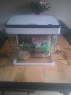 Aquarium panorama 35 led, Dieren en Toebehoren, Ophalen, Zo goed als nieuw, Leeg aquarium