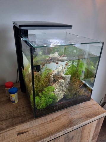Superfish QubiQ 30 Pro - Compleet aquarium beschikbaar voor biedingen