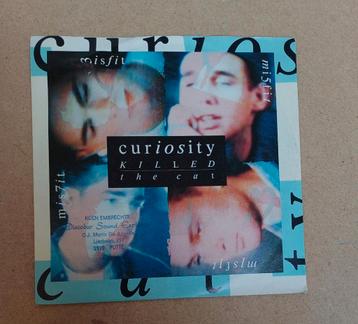 Curiousity Killed The Cat - Misfit beschikbaar voor biedingen
