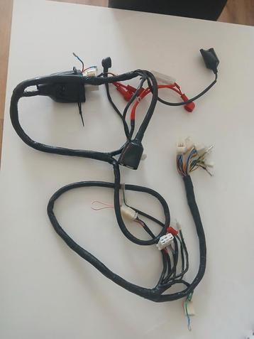 Kabelboom AGM Scooter - Nieuw beschikbaar voor biedingen