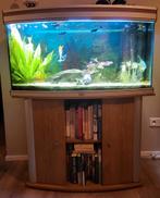 AQUARIUM INCL VISSEN, POMP ETC, Ophalen, Gebruikt, Gevuld zoetwateraquarium