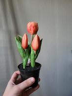 Zijde tulp in pot, Ophalen of Verzenden