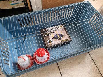 Kooien met eventueel warmteplaat en voerbak beschikbaar voor biedingen