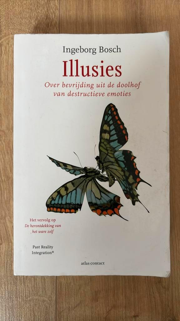 Ìngeborg Bosch - Illusies, Boeken, Psychologie, Zo goed als nieuw, Ophalen of Verzenden