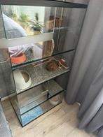 Terrarium voor degoes / gerbils / knaagdieren, Dieren en Toebehoren, Knaagdieren en Konijnen | Hokken en Kooien, Ophalen, Minder dan 75 cm
