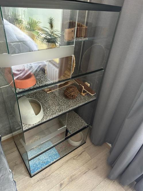 Terrarium voor degoes / gerbils / knaagdieren, Dieren en Toebehoren, Knaagdieren en Konijnen | Hokken en Kooien, Zo goed als nieuw