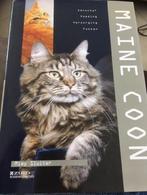 Maine Coon, Boeken, Mimy Sluiter, Ophalen of Verzenden, Zo goed als nieuw, Katten