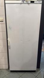 GRATIS vriezer, Witgoed en Apparatuur, Koelkasten en IJskasten, Ophalen, Zo goed als nieuw, 45 tot 60 cm