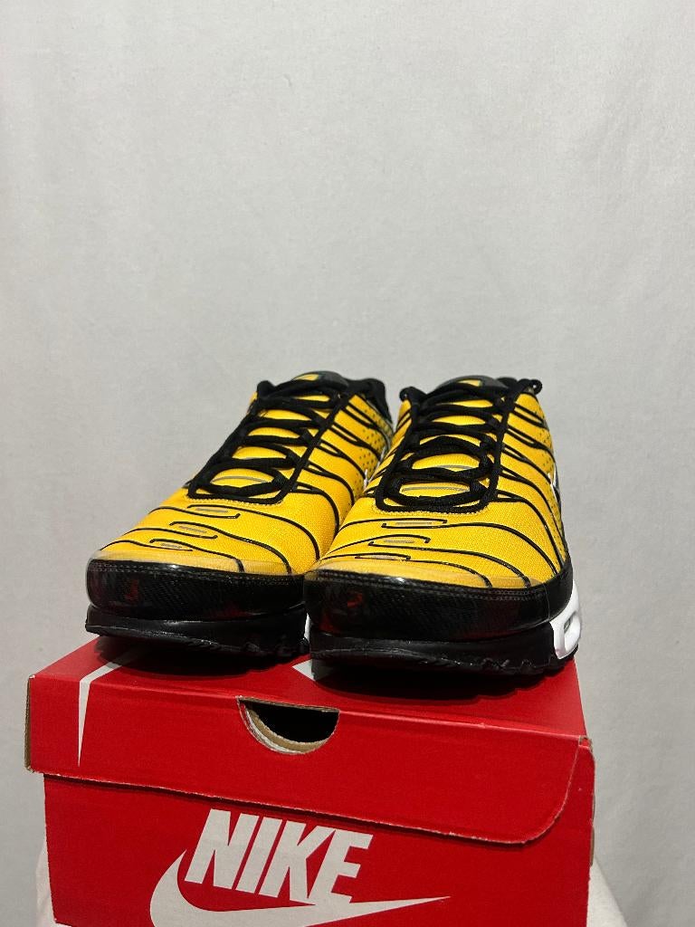 NIEUW IN DOOS! Maat 49,5 - Nike Air Max Plus Varsity Green, Overige kleuren, Verzenden, Nike, Nieuw