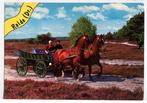 Rolde Drenthe - klederdracht paard en wagen heide 1977, Ophalen of Verzenden, 1960 tot 1980, Ongelopen, Klederdracht