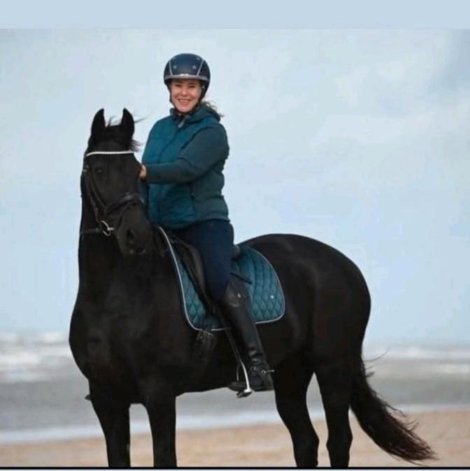 Dressuurles paardrijles paardrijden les instructeur Alkmaar, Dieren en Toebehoren, Paarden en Pony's | Verzorgingsproducten, Zo goed als nieuw