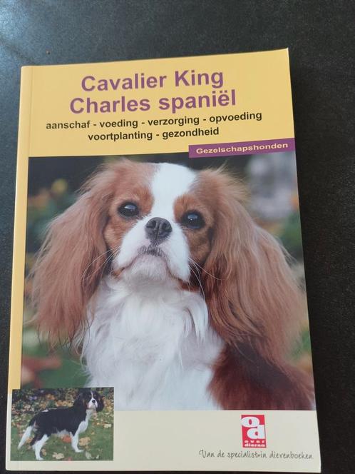 Cavalier King Charles Spaniel, Boeken, Dieren en Huisdieren, Zo goed als nieuw, Honden, Ophalen of Verzenden