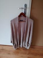 Dames kledingpakket maat XL, Ophalen of Verzenden, Gedragen, Maat 46/48 (XL) of groter