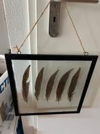 Glazen wanddecoratie met veren, Minder dan 50 cm, Nieuw, Ophalen of Verzenden, Schilderij