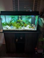 juwel Aquarium 80 cm breed, Ophalen, Gebruikt, Verlichting of Verwarming