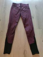 Paardrij broek. Kleur bordeaux rood. Maat 34, Dieren en Toebehoren, Paardrijkleding, Ophalen of Verzenden, Zo goed als nieuw