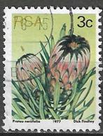 Zuid-Afrika 1977 - Yvert 418 - De blauwe suikerbos (ST), Postzegels en Munten, Postzegels | Afrika, Zuid-Afrika, Ophalen, Gestempeld