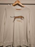Trui Only XL, Ophalen of Verzenden, Zo goed als nieuw, Maat 46/48 (XL) of groter