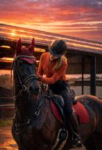 Betrouwbare bijrijder zoekt een paard, Dieren en Toebehoren, Ophalen of Verzenden, Zo goed als nieuw