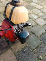 Bosmaaier, Ophalen of Verzenden