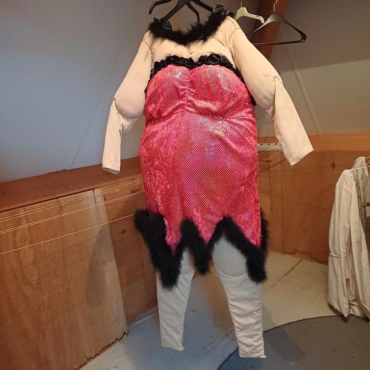 Dikmaakpak met glitterjurk - Carnaval!, Kleding | Dames, Carnavalskleding en Feestkleding, Zo goed als nieuw, Kleding, Carnaval