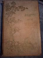 Alleen op de wereld - Hector Malot, Antiek en Kunst, Ophalen of Verzenden, Hector Malot