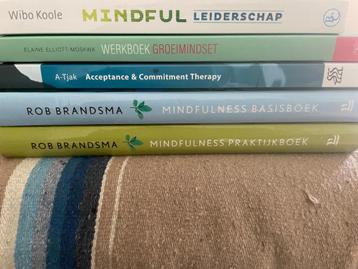Mindfulness boeken beschikbaar voor biedingen