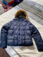 Tommy Hilfiger jas maat XL, Kleding | Dames, Ophalen of Verzenden, Zo goed als nieuw