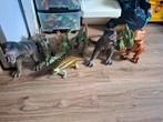 Verschillende dinosauriërs. Alles voor €20,-, Ophalen, Zo goed als nieuw