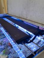 3x horizon lancia leds 52cm  zee aquarium lamp, Dieren en Toebehoren, Ophalen, Zo goed als nieuw