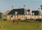 OOSTERHESSELEN De Klencke met Paard, Verzamelen, Ansichtkaarten | Nederland, Verzenden, 1980 tot heden, Ongelopen, Drenthe