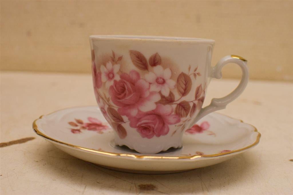 Tirschenreuth Bavaria porseleinen kop en schoteltje 48364