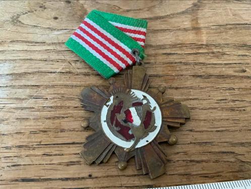 Chinese Partij Medaille Communisme Trouwe Verdiensten, Postzegels en Munten, Penningen en Medailles, Ophalen of Verzenden