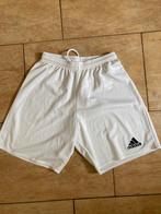 Adidas wit sport/zwembroek maat S zgan, Wit, Ophalen of Verzenden, Zo goed als nieuw, Adidas