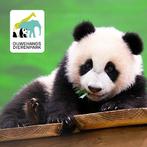 4 x Ouwehands Dierenpark Toegangskaarten, Tickets en Kaartjes, Drie personen of meer, Ticket of Toegangskaart